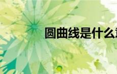 圆曲线是什么意思（圆曲线）