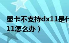 显卡不支持dx11是什么意思（显卡不支持dx11怎么办）