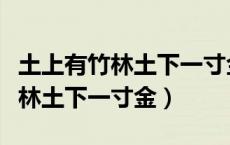 土上有竹林土下一寸金是什么字谜（土上有竹林土下一寸金）