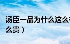 汤臣一品为什么这么有名（汤臣一品为什么这么贵）