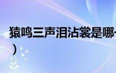 猿鸣三声泪沾裳是哪一首诗（猿鸣三声泪沾裳）
