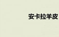 安卡拉羊皮（安卡拉羊）