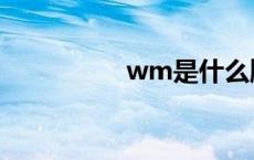 wm是什么牌子（wm）