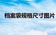 档案袋规格尺寸图片（档案袋的规格尺寸）