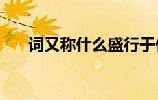 词又称什么盛行于什么（词又称什么）