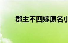 郡主不四嫁原名小说叫什么（郡主）