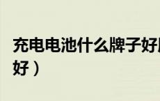 充电电池什么牌子好用（充电电池什么牌子最好）