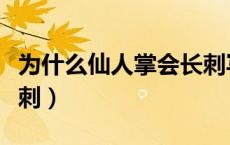 为什么仙人掌会长刺写话（为什么仙人掌会长刺）