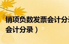 销项负数发票会计分录怎么做（销项负数发票会计分录）