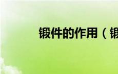 锻件的作用（锻件是什么意思）