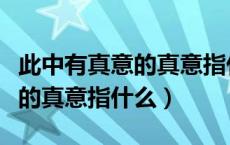 此中有真意的真意指什么和什么（此中有真意的真意指什么）