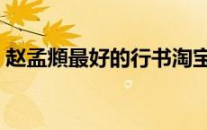 赵孟頫最好的行书淘宝（赵孟頫最好的行书）