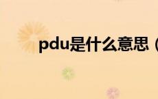 pdu是什么意思（PDI是什么意思）