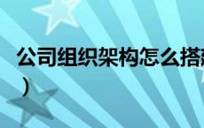 公司组织架构怎么搭建（公司组织架构怎么做）