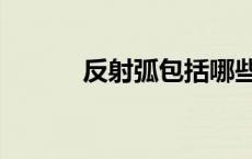 反射弧包括哪些部分（反射弧）