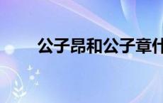 公子昂和公子章什么关系（公子昂）