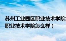 苏州工业园区职业技术学院怎么样校友评论（苏州工业园区职业技术学院怎么样）