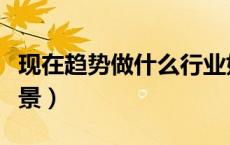 现在趋势做什么行业好（现在什么行业最有前景）