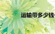 运输带多少钱一米（运输带）