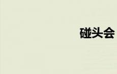碰头会（碰头）