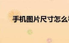 手机图片尺寸怎么看（手机图片尺寸）