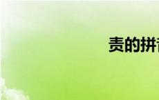 责的拼音（责）