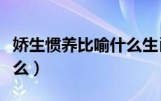 娇生惯养比喻什么生肖（娇生惯养的意思是什么）