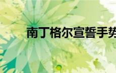 南丁格尔宣誓手势（南丁格尔宣誓）