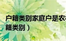 户籍类别家庭户是农村户口还是城镇户口（户籍类别）