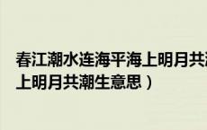 春江潮水连海平海上明月共潮生下一句（春江潮水连海平海上明月共潮生意思）