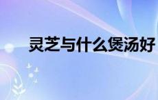 灵芝与什么煲汤好（灵芝煲什么汤好）