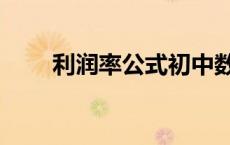 利润率公式初中数学（利润率公式）