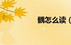 髃怎么读（髀怎么读）