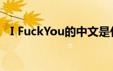 I FuckYou的中文是什么意思（fuckyou）