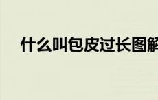 什么叫包皮过长图解（什么叫包皮过长）