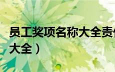 员工奖项名称大全责任之星（老员工奖项名称大全）