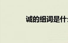 诚的组词是什么（诚的组词）