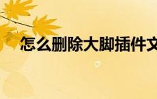 怎么删除大脚插件文件（怎么删除大脚）