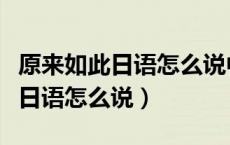 原来如此日语怎么说中文谐音翻译（原来如此日语怎么说）