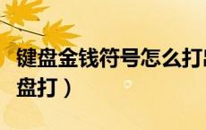键盘金钱符号怎么打出来（金钱符号怎么用键盘打）