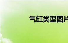 气缸类型图片（气缸类型）