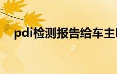 pdi检测报告给车主吗（pdi是什么意思）