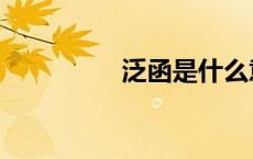 泛函是什么意思（泛函）