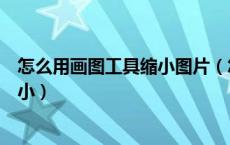 怎么用画图工具缩小图片（怎样在画图工具里缩小图片的大小）