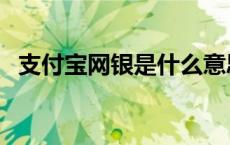 支付宝网银是什么意思（网银是什么意思）