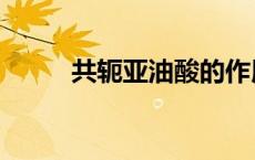 共轭亚油酸的作用（油酸的作用）