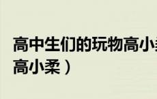 高中生们的玩物高小柔小说（高中生们的玩物高小柔）