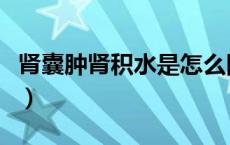 肾囊肿肾积水是怎么回事（肾积水是怎么回事）