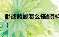 野战蓝鲫怎么搭配饵料好（野战蓝鲫怎么搭配）