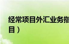 经常项目外汇业务指引(2020年版)（经常项目）